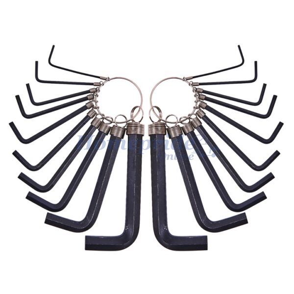 Homepride Online-20 Piece hex key set and keyring