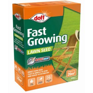 Homepride Online-Fast Growing Lawn Seed 500g