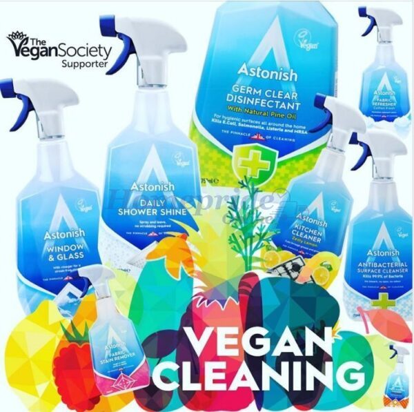 Homepride Online-Premium Edition Clean & Revive