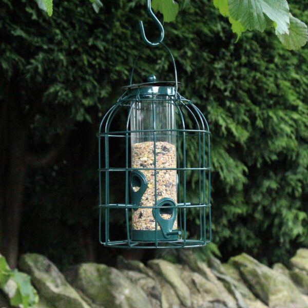 Homepride Online-Seed Feeder with Squirrel Guard