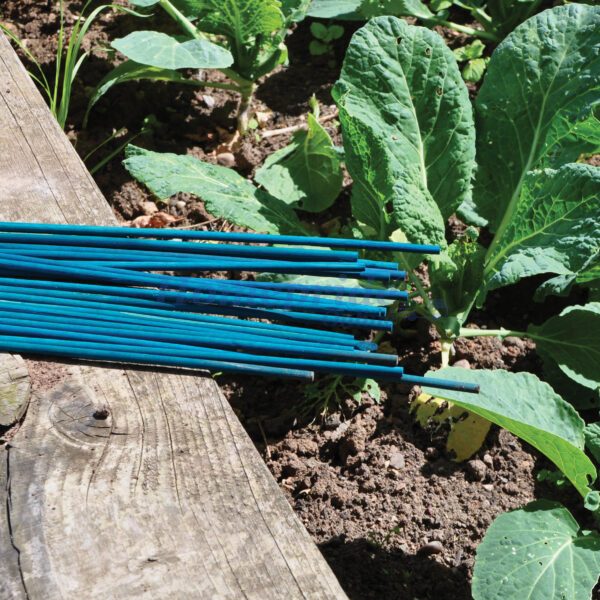 Homepride Online-20 Pack of 60cm Split Green Garden Canes