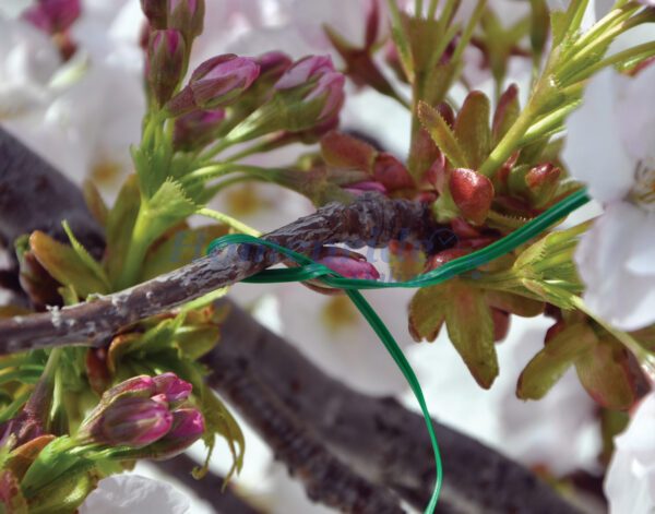 Homepride Online-100 Garden Ties