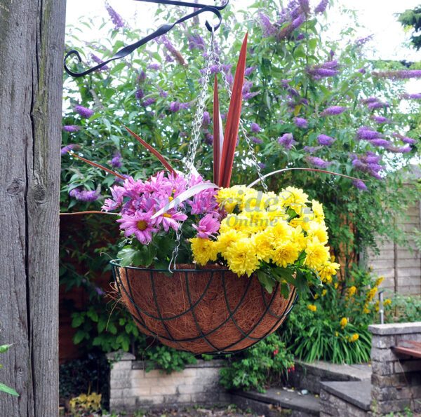 Homepride Online-14 inch Hanging Basket