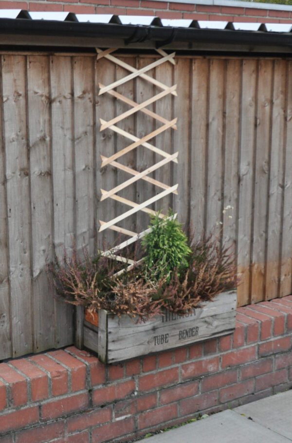 Homepride Online-Garden Trellis 6ft x 1ft