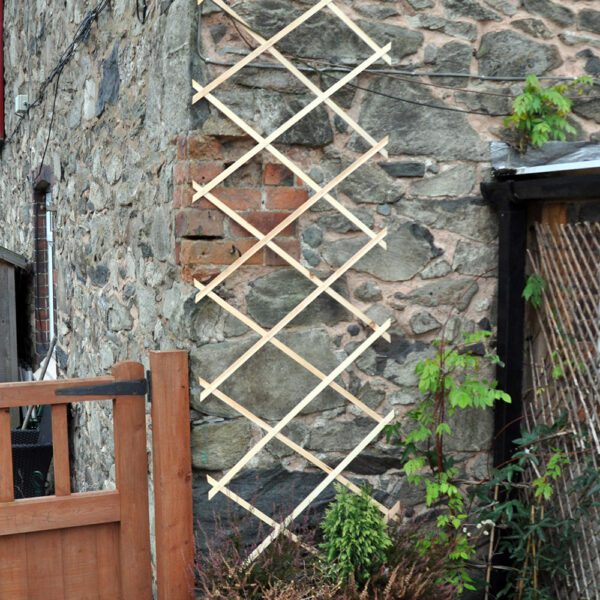 Homepride Online-Garden Trellis 6ft x 2ft