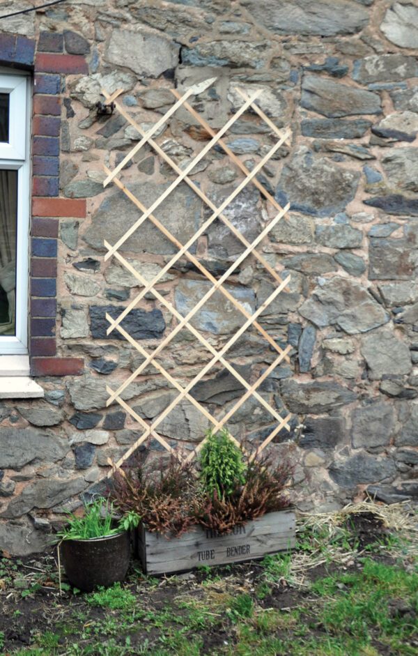 Homepride Online-Garden Trellis 6ft x 3ft