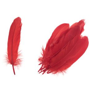 Homepride Online-red goose feathers