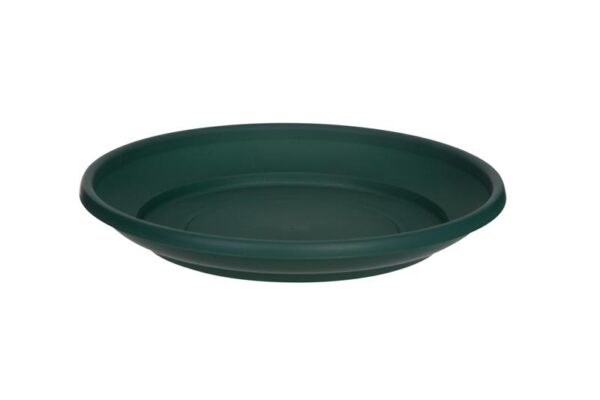 Homepride Online-Whitefurze 43cm green saucer