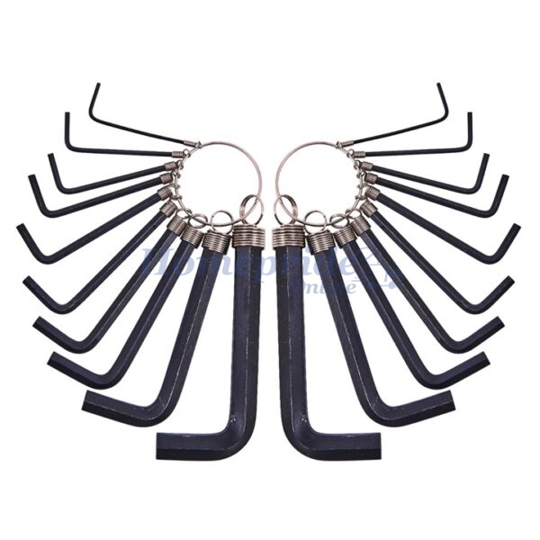 20 Piece hex key set and keyring
