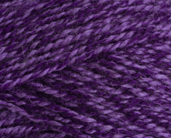 Homepride Online-Special DK Viola