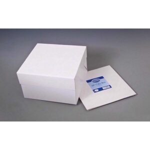 ESSENTIAL CAKE BOX 10IN