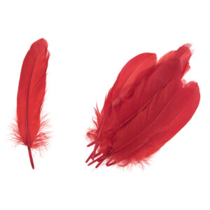 Homepride Online-red goose feathers