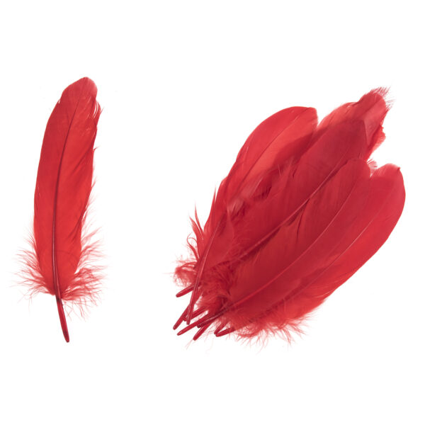 Homepride Online-red goose feathers