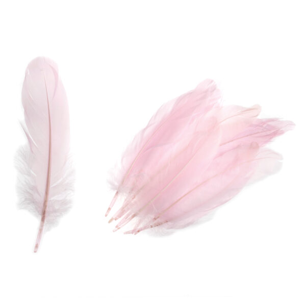 Homepride Online-pink goose feathers