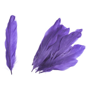 Homepride Online-purple goose feathers