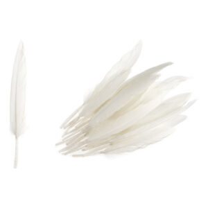 Homepride Online-white duck feathers