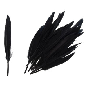 Homepride Online-black duck feathers