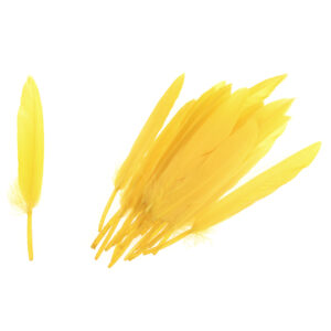 Homepride Online-yellow duck feathers