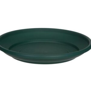 Homepride Online-Whitefurze 43cm green saucer